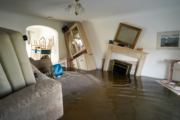 Water Damage repaired and Cleanup by Experts