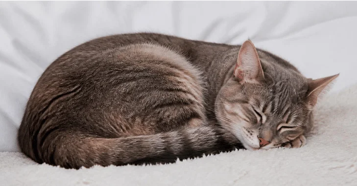 When a Sleeping Position May Signal a Health Problem